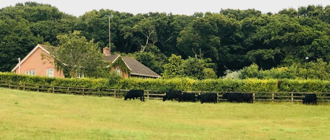 Yellowham Farm, Dorchester Higher Bockhampton Εξωτερικό φωτογραφία