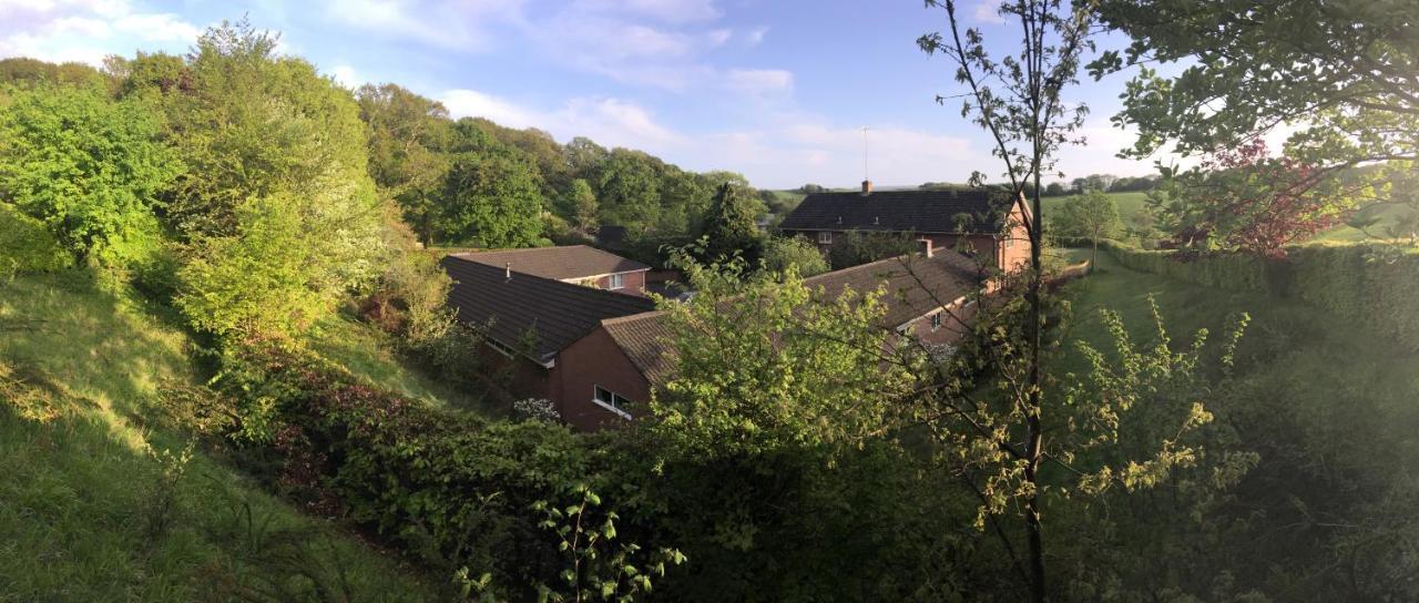 Yellowham Farm, Dorchester Higher Bockhampton Εξωτερικό φωτογραφία