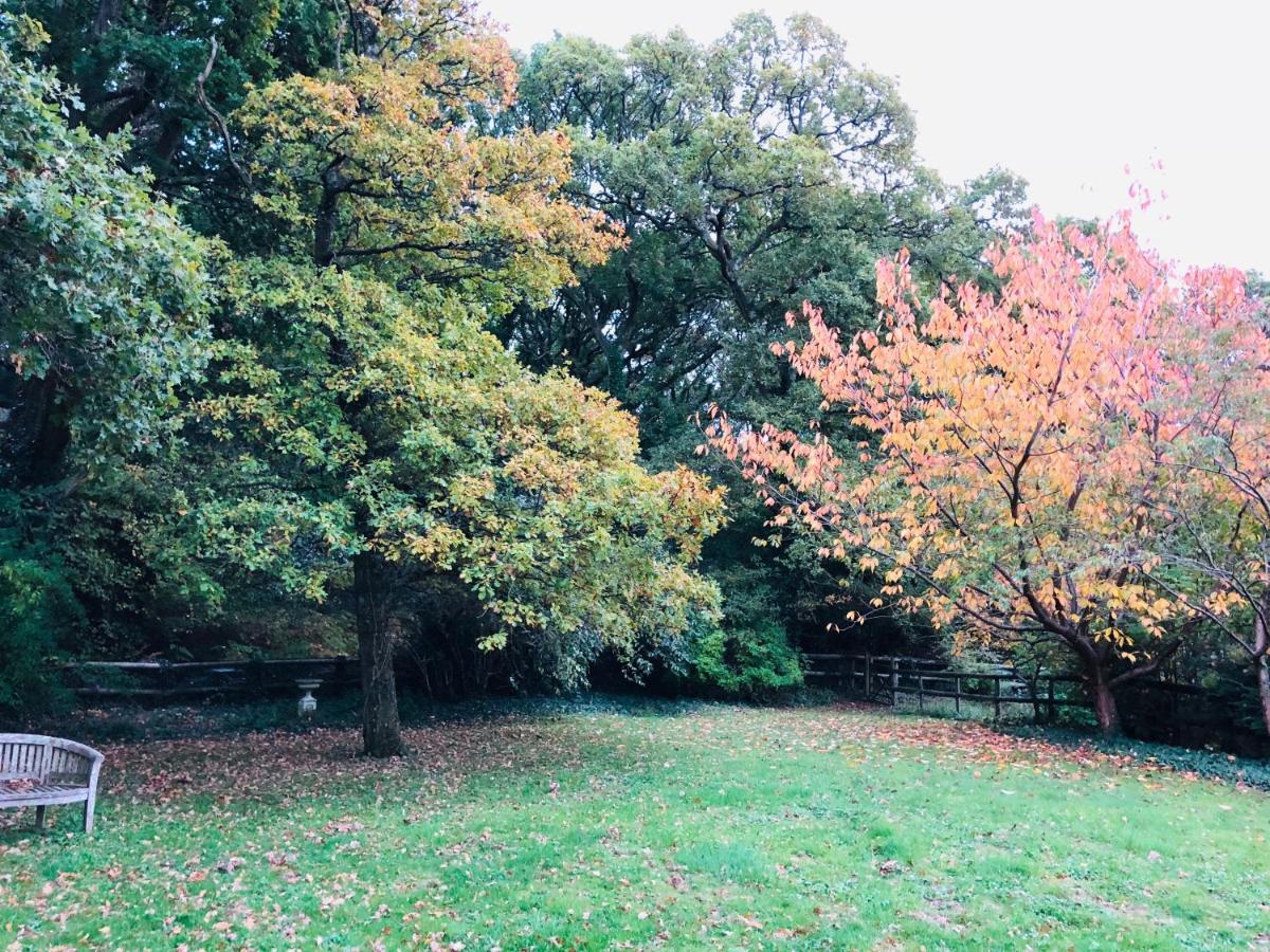 Yellowham Farm, Dorchester Higher Bockhampton Εξωτερικό φωτογραφία