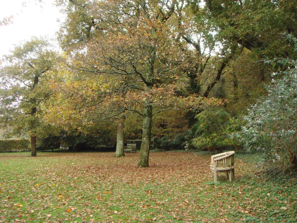 Yellowham Farm, Dorchester Higher Bockhampton Εξωτερικό φωτογραφία