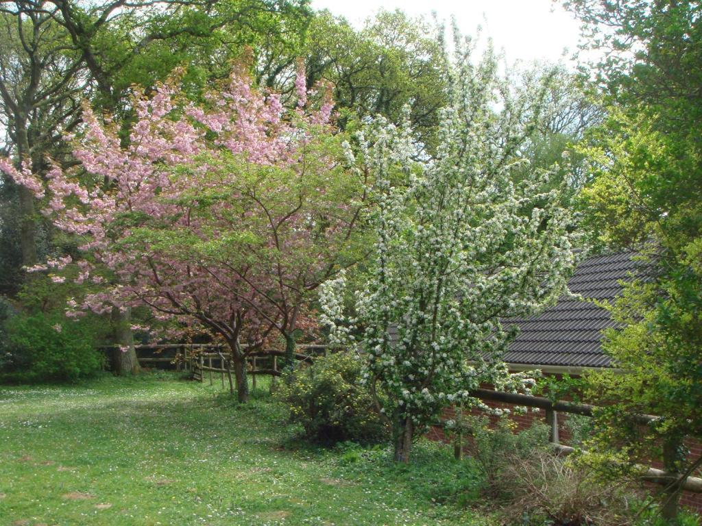 Yellowham Farm, Dorchester Higher Bockhampton Εξωτερικό φωτογραφία